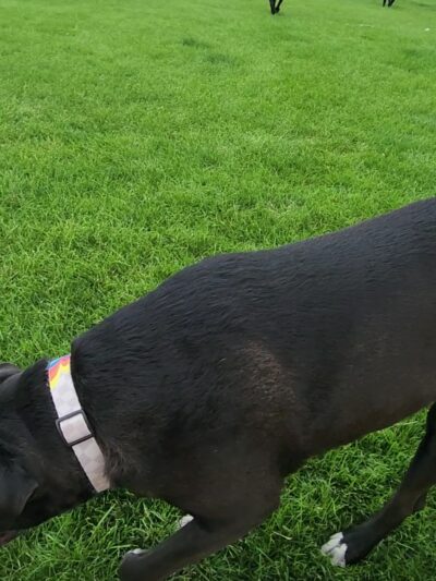 Fred McKown Park And Field - Colorado Springs, CO