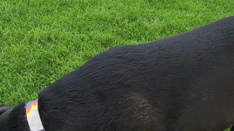 Fred McKown Park And Field - Colorado Springs, CO