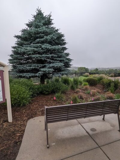 Ginger Park - Colorado Springs, CO