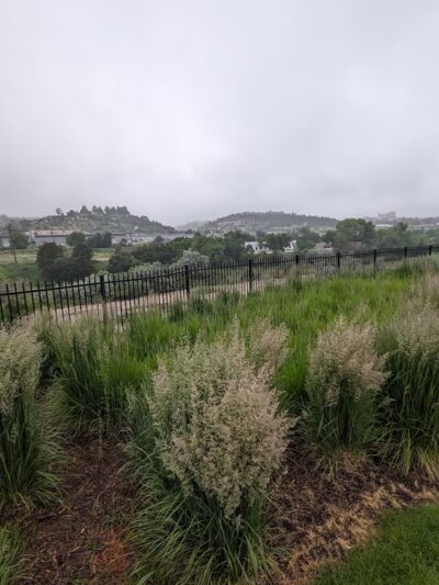 Ginger Park - Colorado Springs, CO