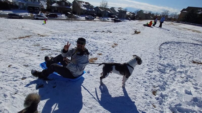 High Meadows Park - Colorado Springs, CO