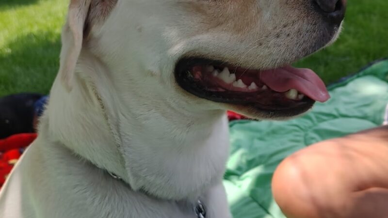 Judge Lunt Park - Colorado Springs, CO