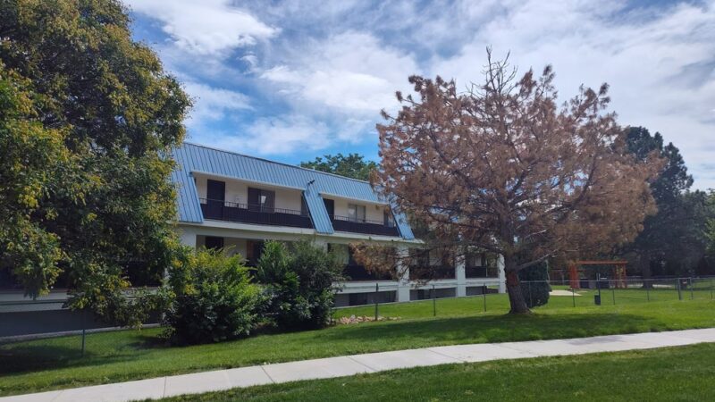 Meadows Park - Colorado Springs, CO