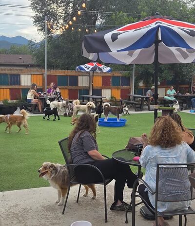 Pub Dog Colorado - Colorado Springs, CO