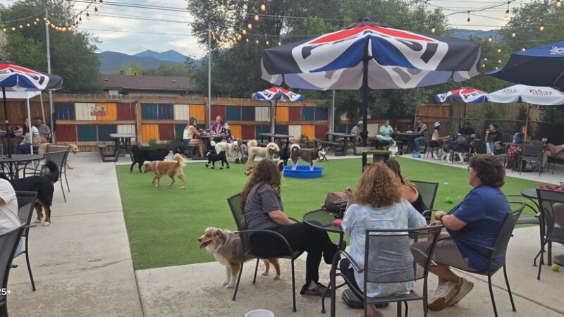 Pub Dog Colorado - Colorado Springs, CO