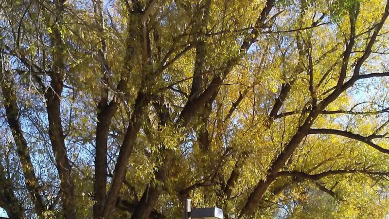 Shooks Park - Colorado Springs, CO