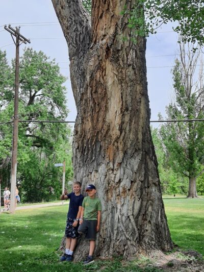 Shooks Park - Colorado Springs, CO