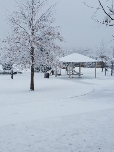 Springs Ranch Park - Colorado Springs, CO