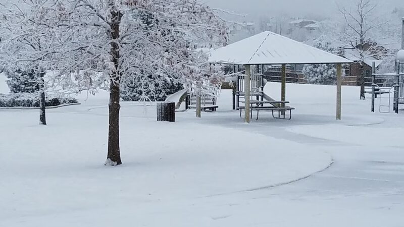 Springs Ranch Park - Colorado Springs, CO