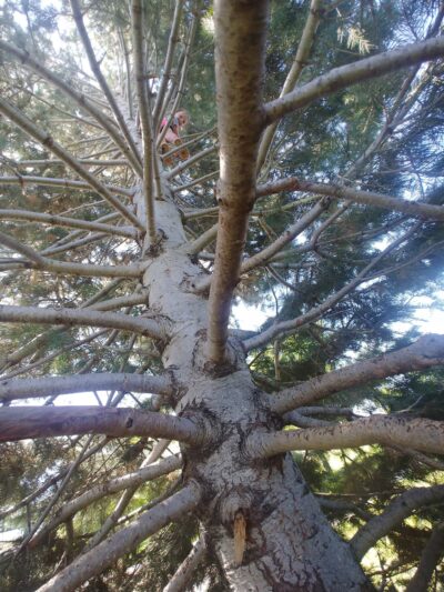 Springs Ranch Park - Colorado Springs, CO