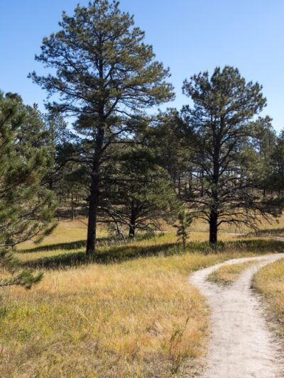 The Pineries Open Space - Colorado Springs, CO