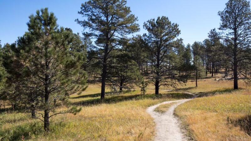 The Pineries Open Space - Colorado Springs, CO