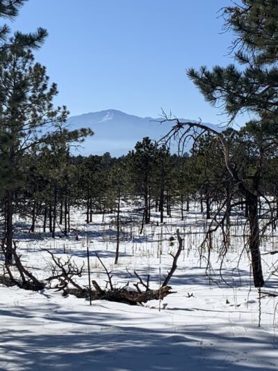 The Pineries Open Space - Colorado Springs, CO