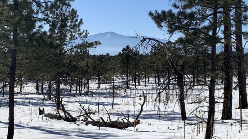 The Pineries Open Space - Colorado Springs, CO