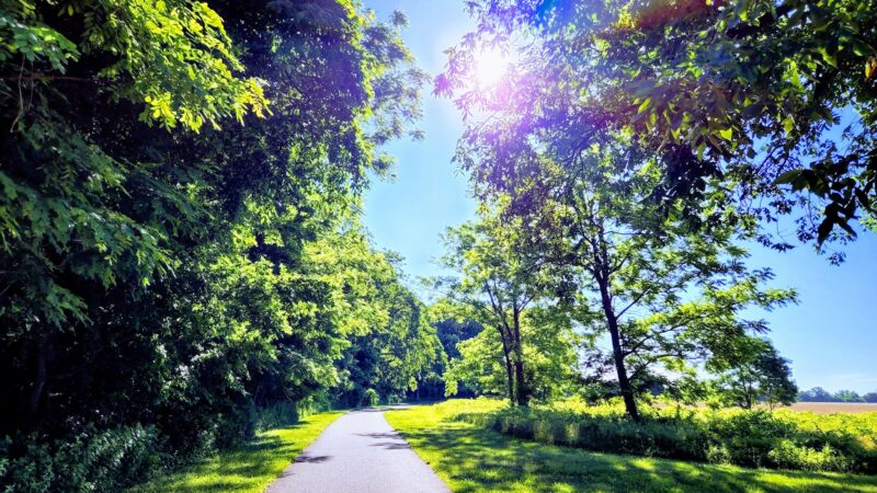 Dorbrook Recreation Area - Colts Neck, NJ