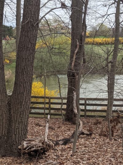 Schlesinger Preserve - Colts Neck, NJ