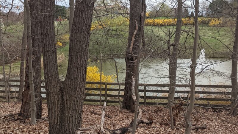Schlesinger Preserve - Colts Neck, NJ