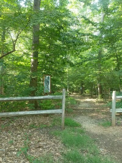 Schlesinger Preserve - Colts Neck, NJ