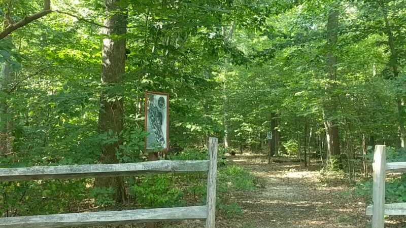 Schlesinger Preserve - Colts Neck, NJ
