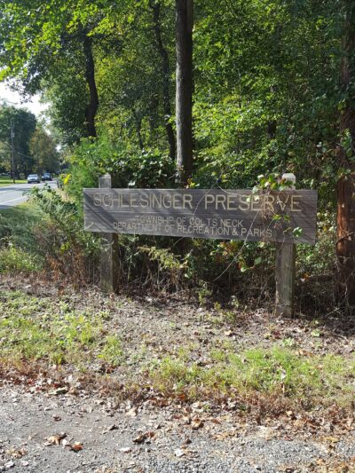 Schlesinger Preserve - Colts Neck, NJ