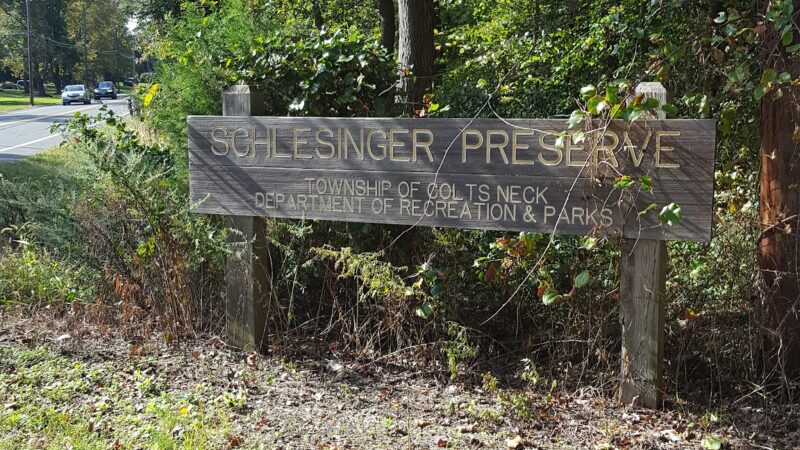 Schlesinger Preserve - Colts Neck, NJ