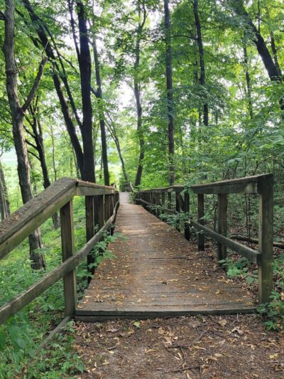 Eagle Bluffs Overlook Trailhead - Columbia, MO