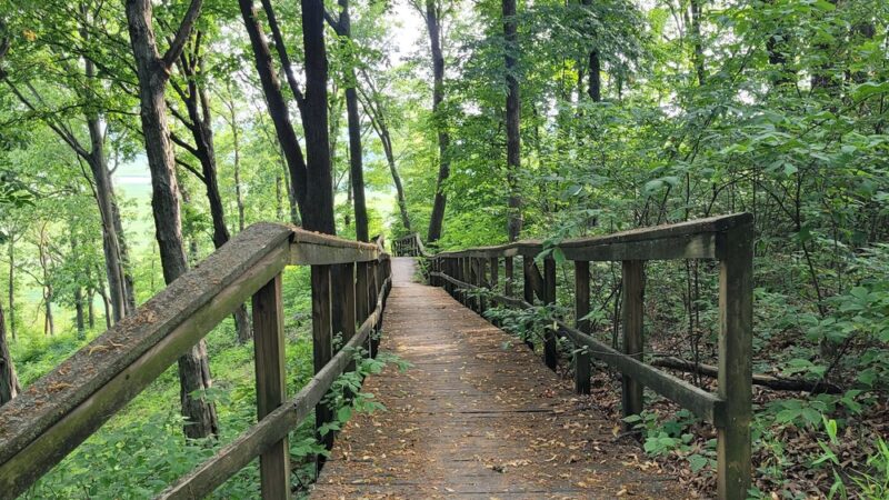 Eagle Bluffs Overlook Trailhead - Columbia, MO