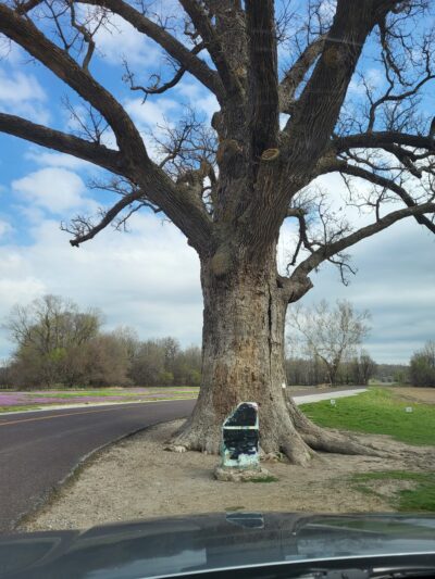 Eagle Bluffs Overlook Trailhead - Columbia, MO