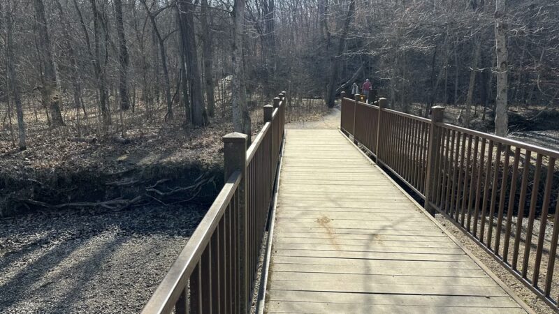 Spring Brook Trailhead - Columbia, MO