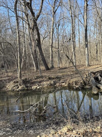 Spring Brook Trailhead - Columbia, MO