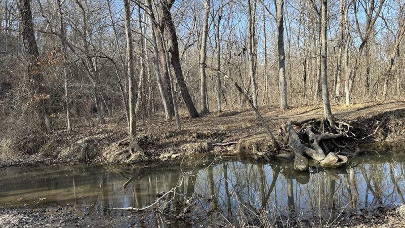 Spring Brook Trailhead - Columbia, MO