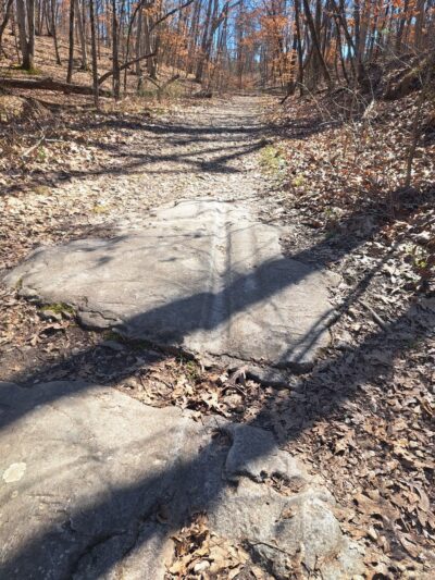 Spring Brook Trailhead - Columbia, MO