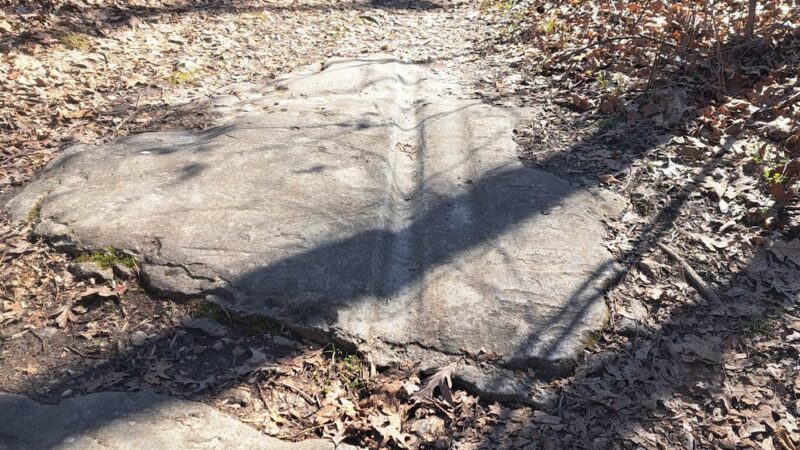 Spring Brook Trailhead - Columbia, MO