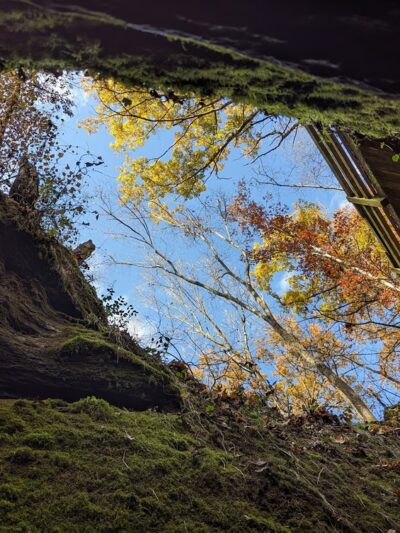 Spring Brook Trailhead - Columbia, MO