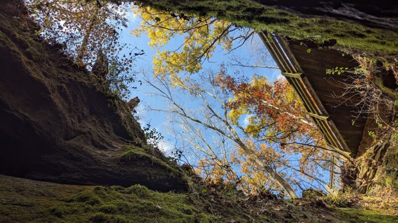 Spring Brook Trailhead - Columbia, MO