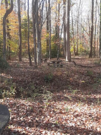 Gibson Park - Columbus, NC