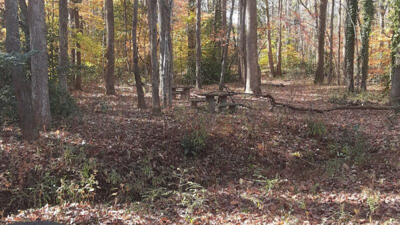 Gibson Park - Columbus, NC