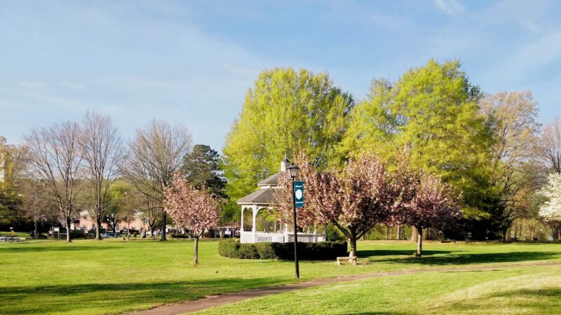Stearns Park - Columbus, NC