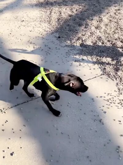 Wheeler Memorial Park - Columbus, OH