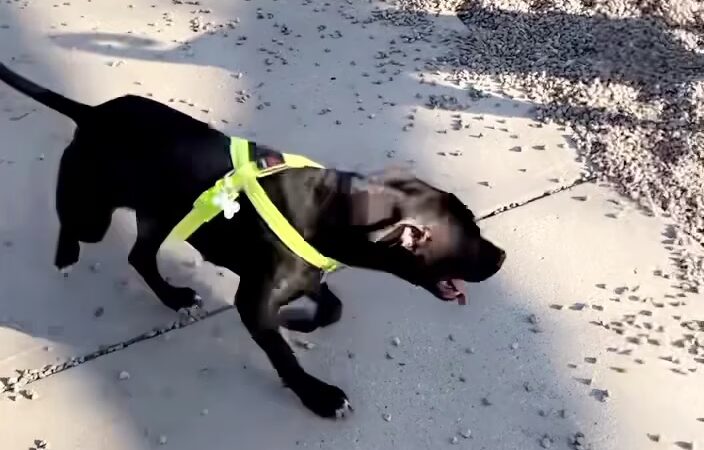 Wheeler Memorial Park - Columbus, OH