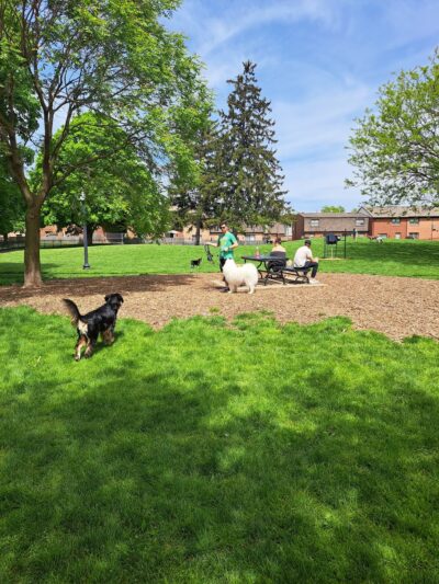 Wheeler Memorial Park - Columbus, OH