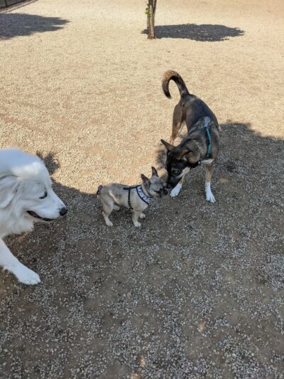 Wheeler Memorial Park - Columbus, OH