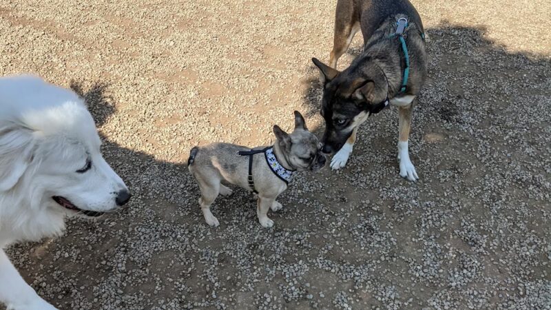 Wheeler Memorial Park - Columbus, OH