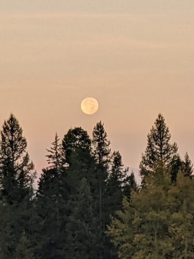 Owl Creek Packer Camp Trailhead - Condon, MT