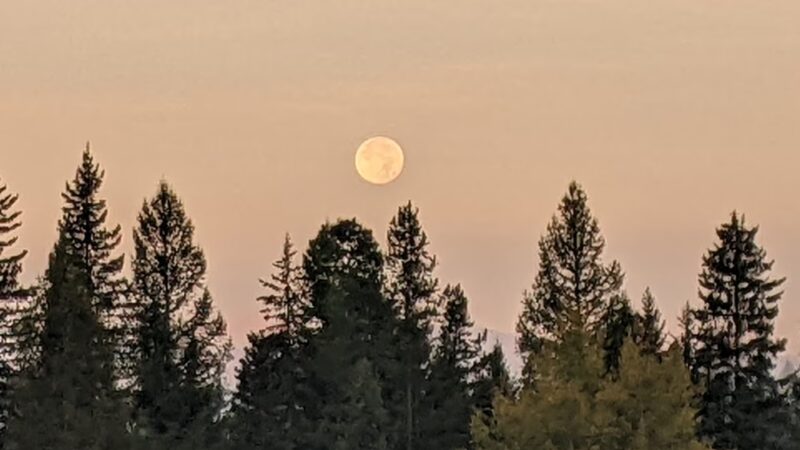 Owl Creek Packer Camp Trailhead - Condon, MT