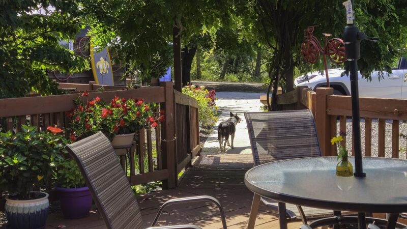 Lucky Dog Café - Confluence, PA