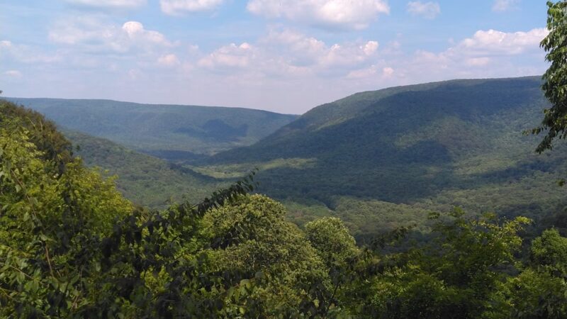 Ohiopyle State Park Ramcat Access Point - Confluence, PA