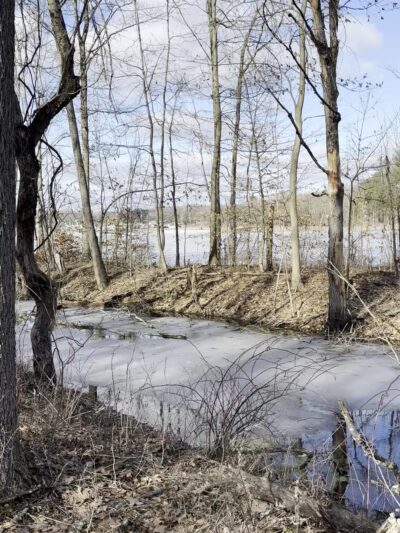 Ernst Nature Trail - Conneaut Lake, PA