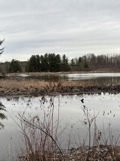 Ernst Nature Trail - Conneaut Lake, PA
