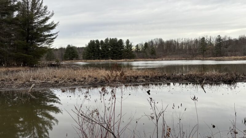 Ernst Nature Trail - Conneaut Lake, PA